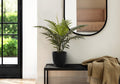 Potted Palm, 20in