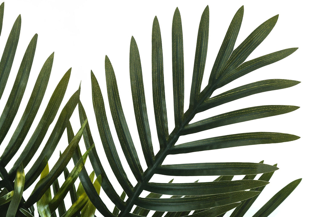 Potted Palm, 20in