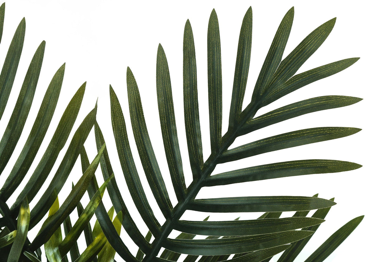 Potted Palm, 20in