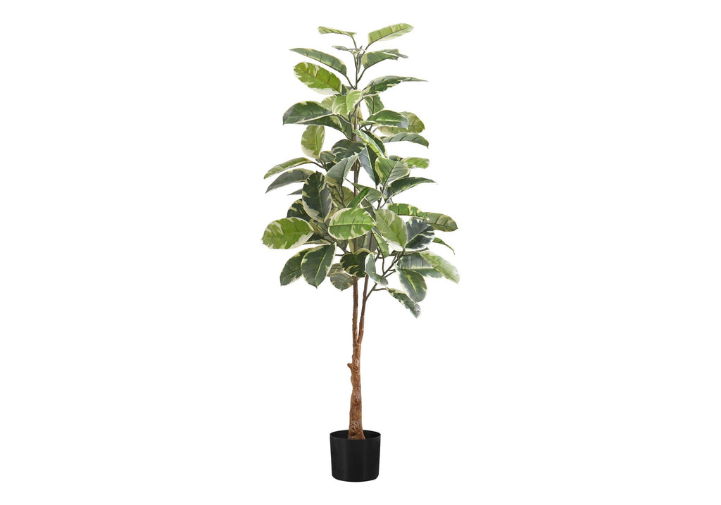 52in Rubber Tree, Classic Leaf