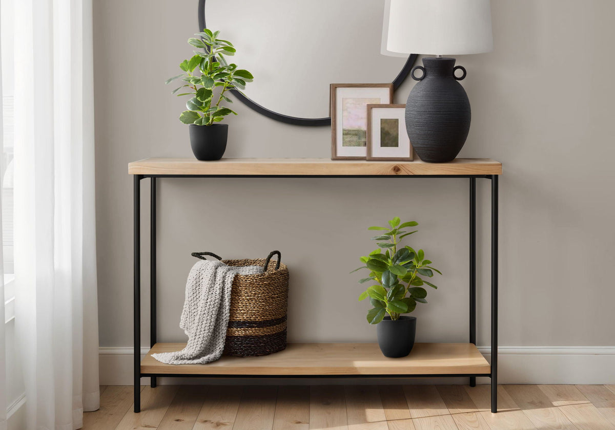 Ficus Duo, 14in (Set of 2)