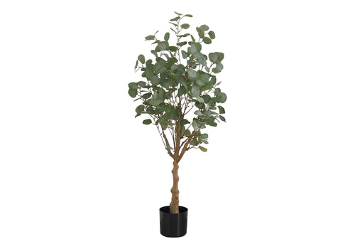 46in Eucalyptus Tree