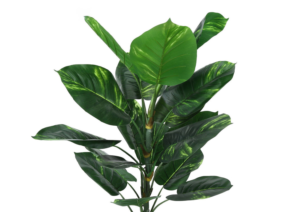 54in Dieffenbachia Tree