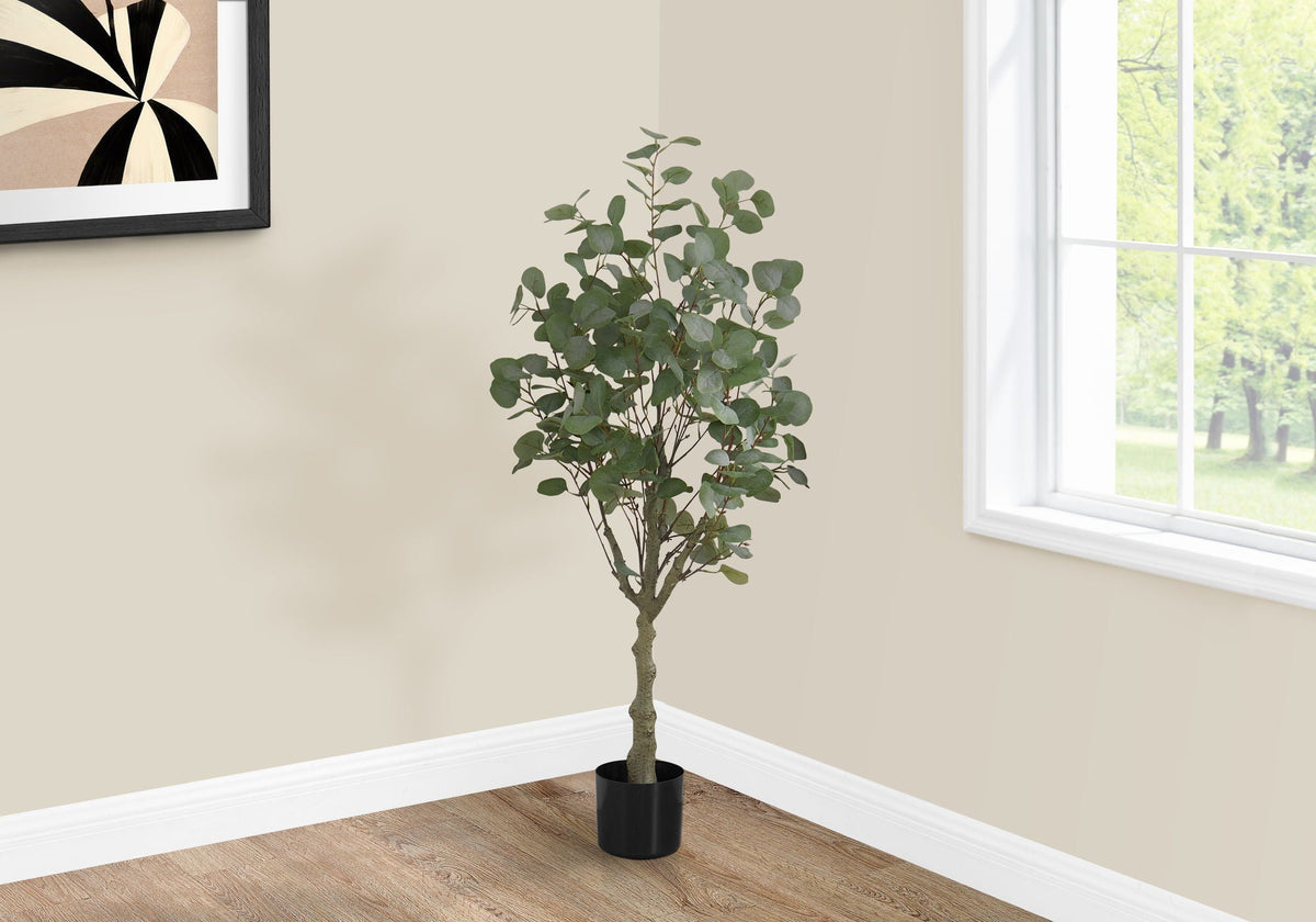 46in Eucalyptus Tree