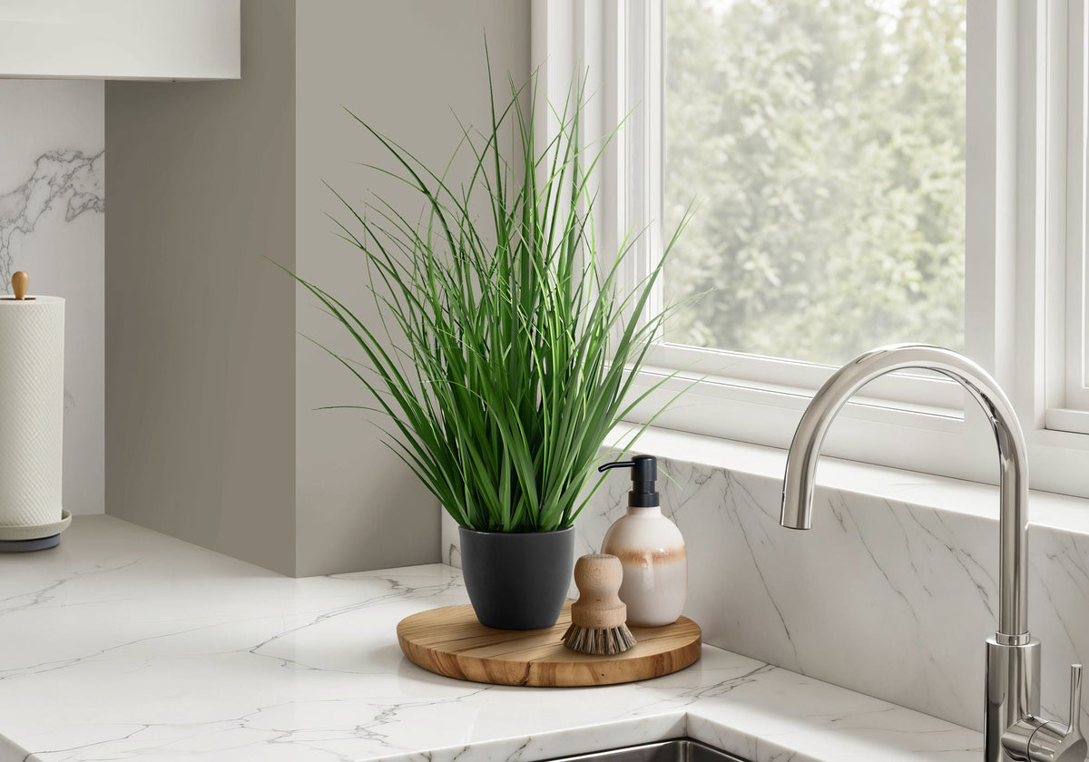 Potted Ornamental Grass, 23in
