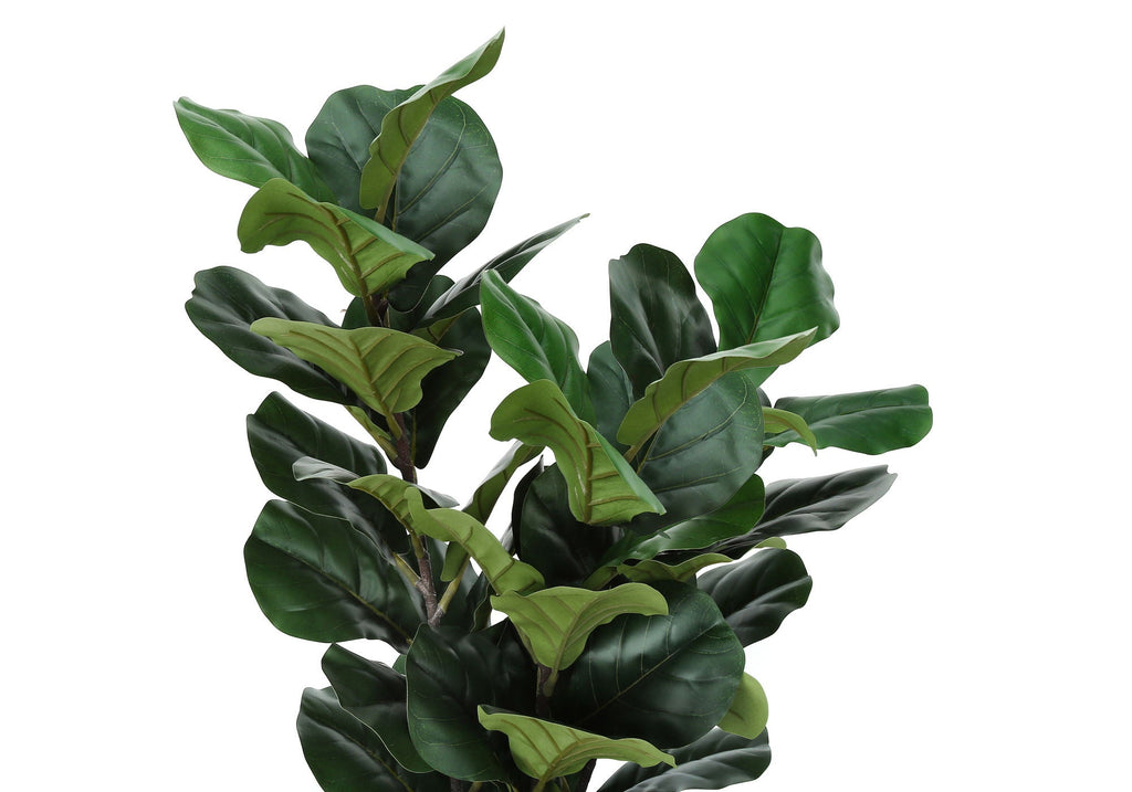 32in Fiddle Leaf Fig