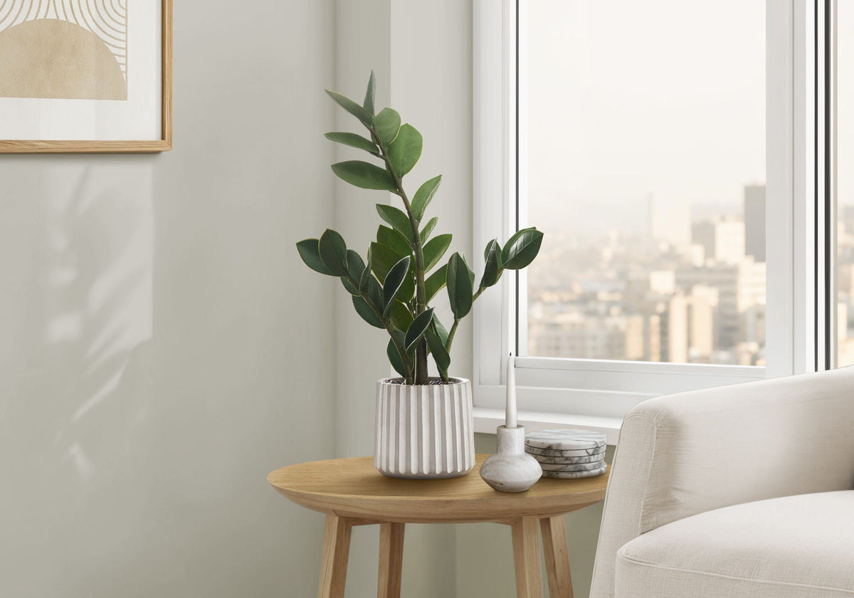 Potted ZZ Plant, 20in