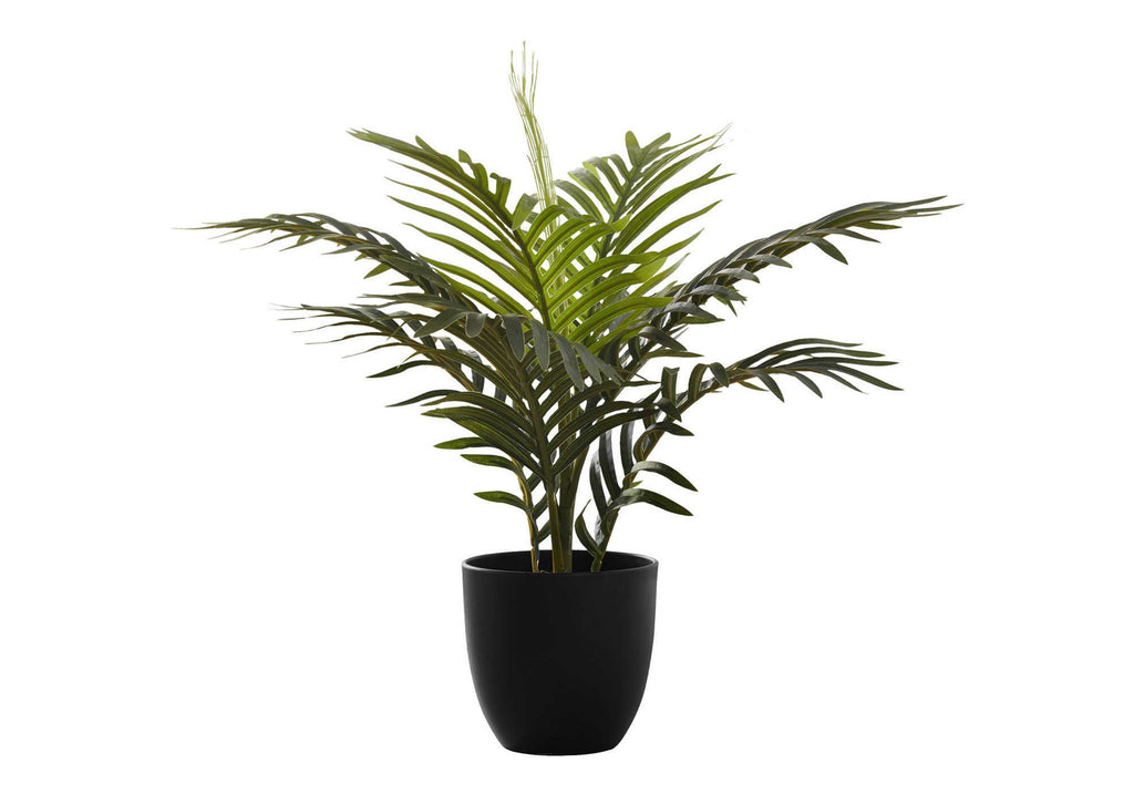 Potted Palm, 20in