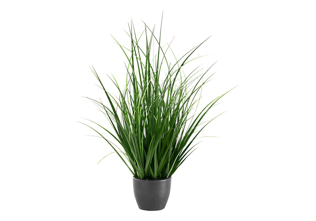 Potted Ornamental Grass, 23in