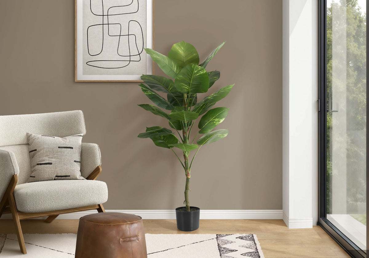 54in Dieffenbachia Tree