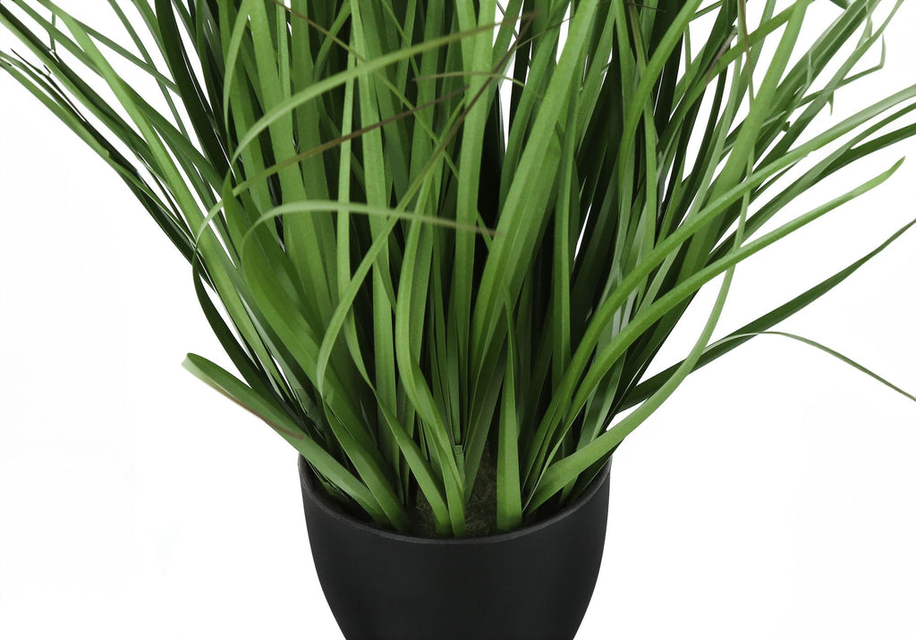 Potted Ornamental Grass, 23in