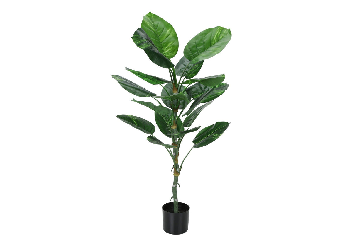 54in Dieffenbachia Tree