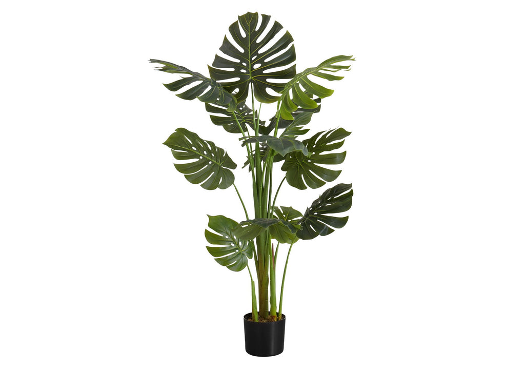 55in Monstera Tree