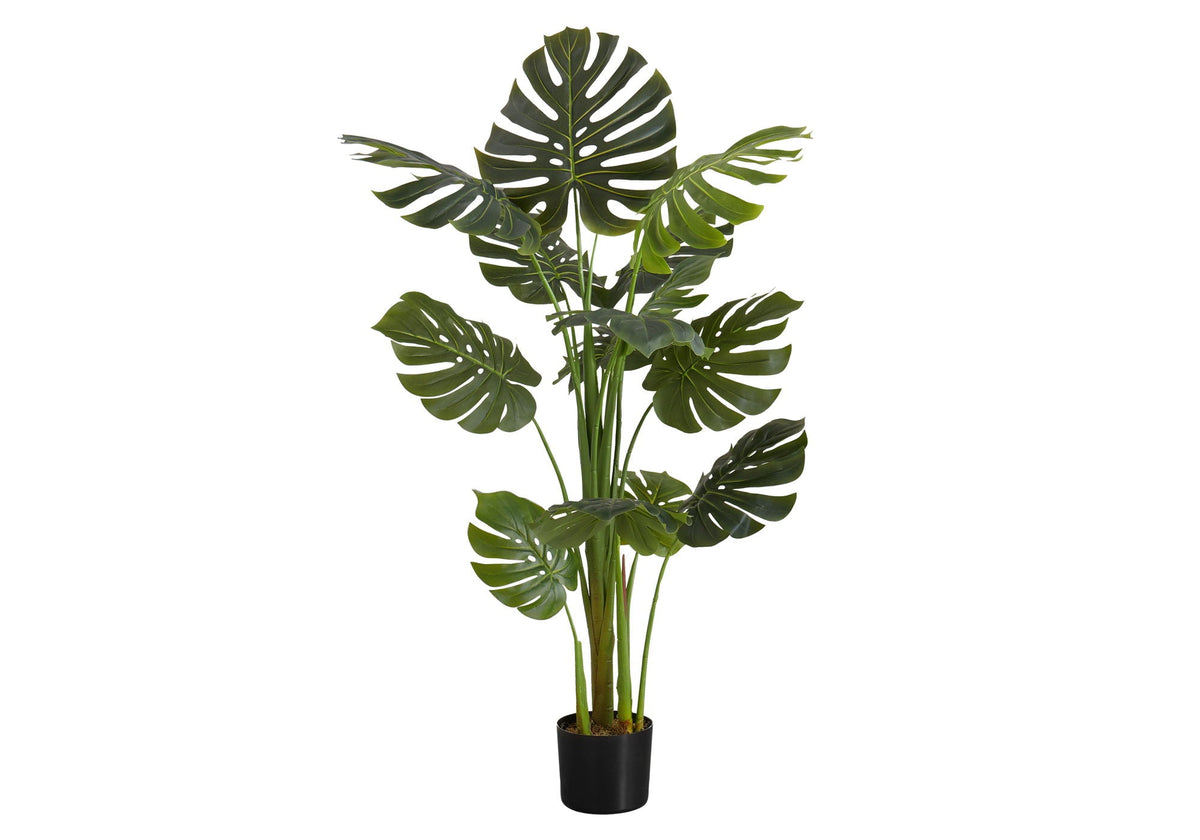 55in Monstera Tree