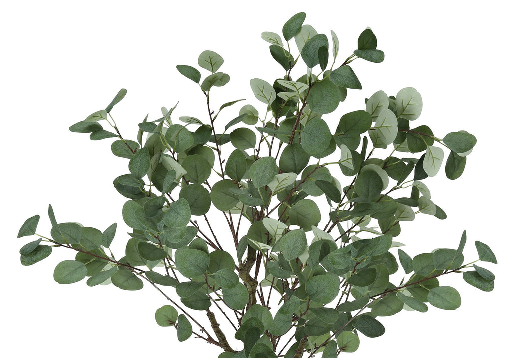 46in Eucalyptus Tree