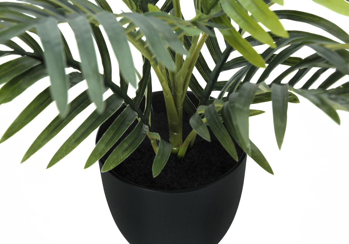 Potted Palm, 20in