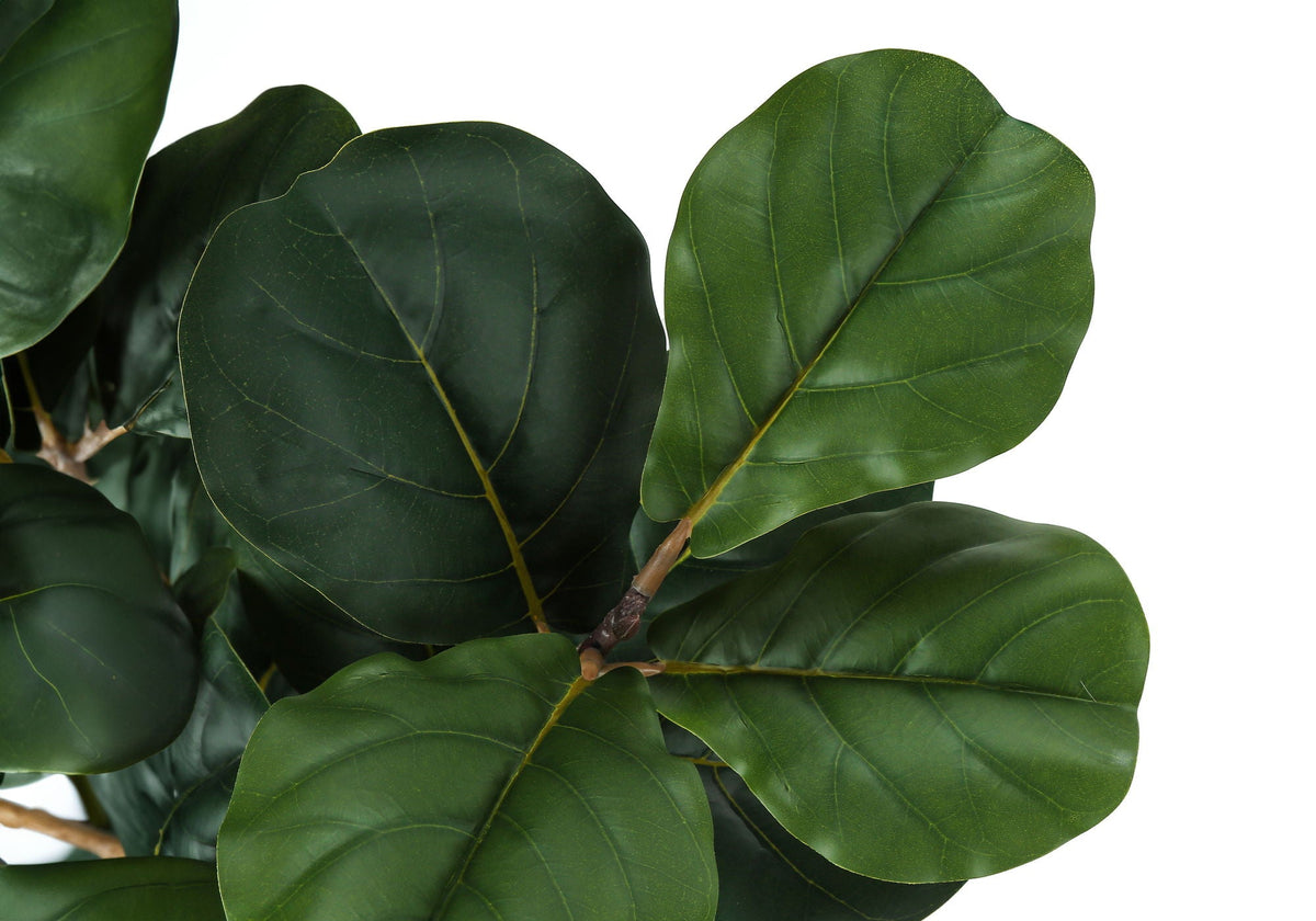 32in Fiddle Leaf Fig