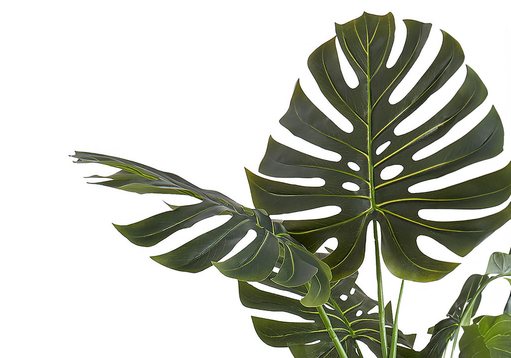 55in Monstera Tree