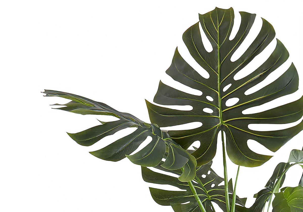 55in Monstera Tree