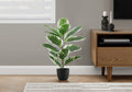 Tabletop Rubber Plant, 27in