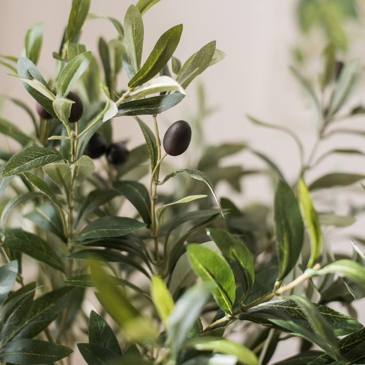 Faux Olive Branch Stem, 41in