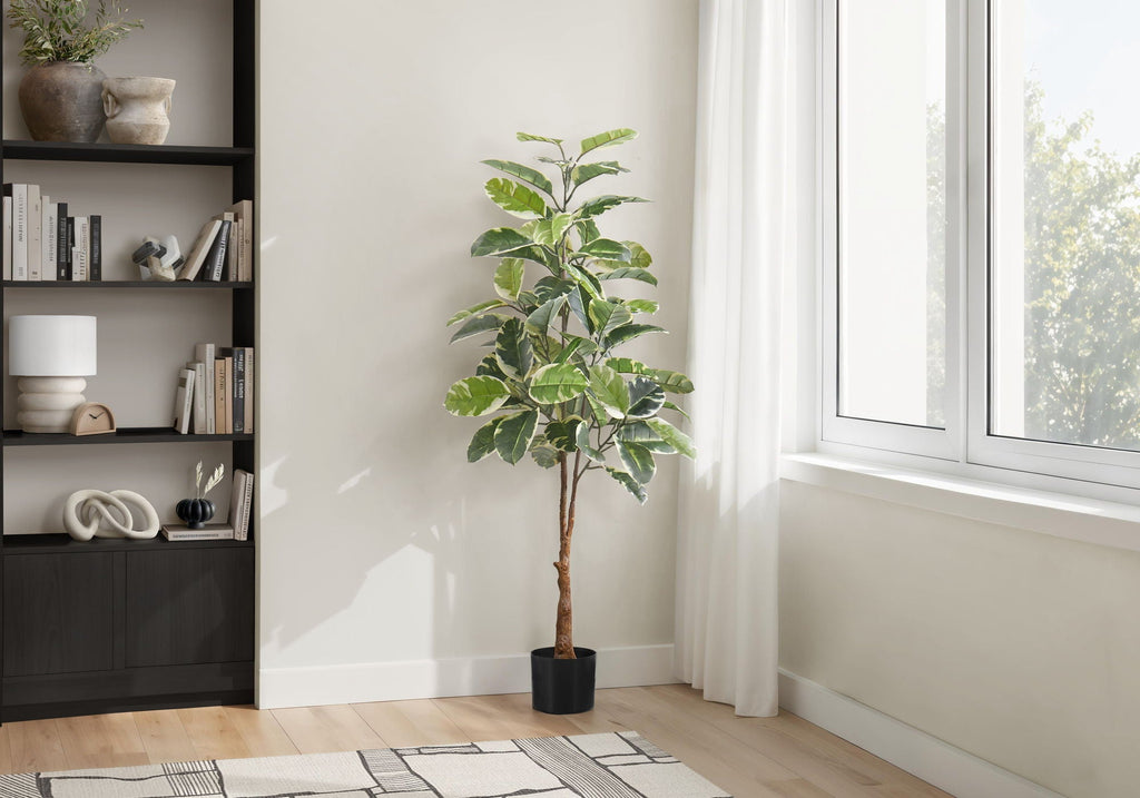 52in Rubber Tree, Classic Leaf