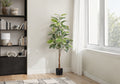 52in Rubber Tree, Classic Leaf