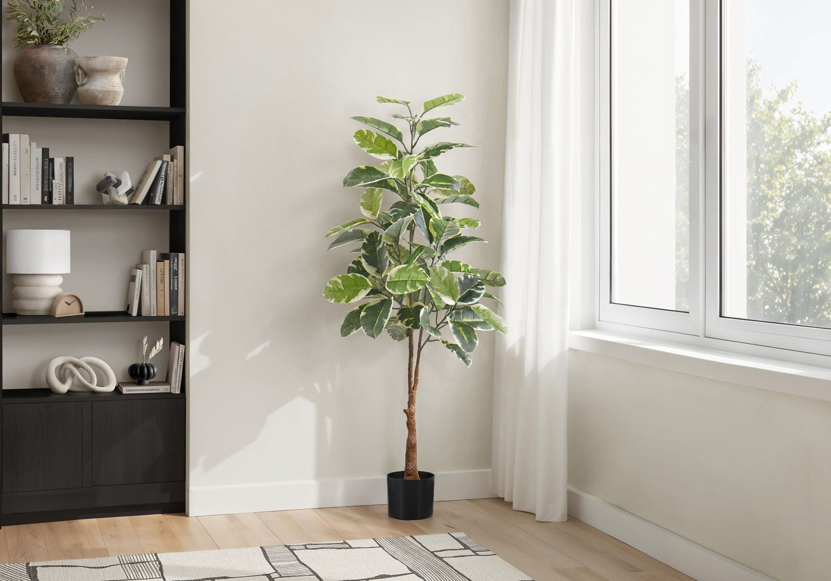 52in Rubber Tree, Classic Leaf