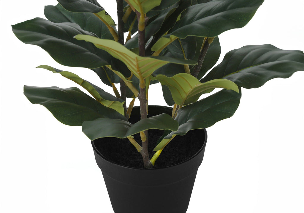 32in Fiddle Leaf Fig