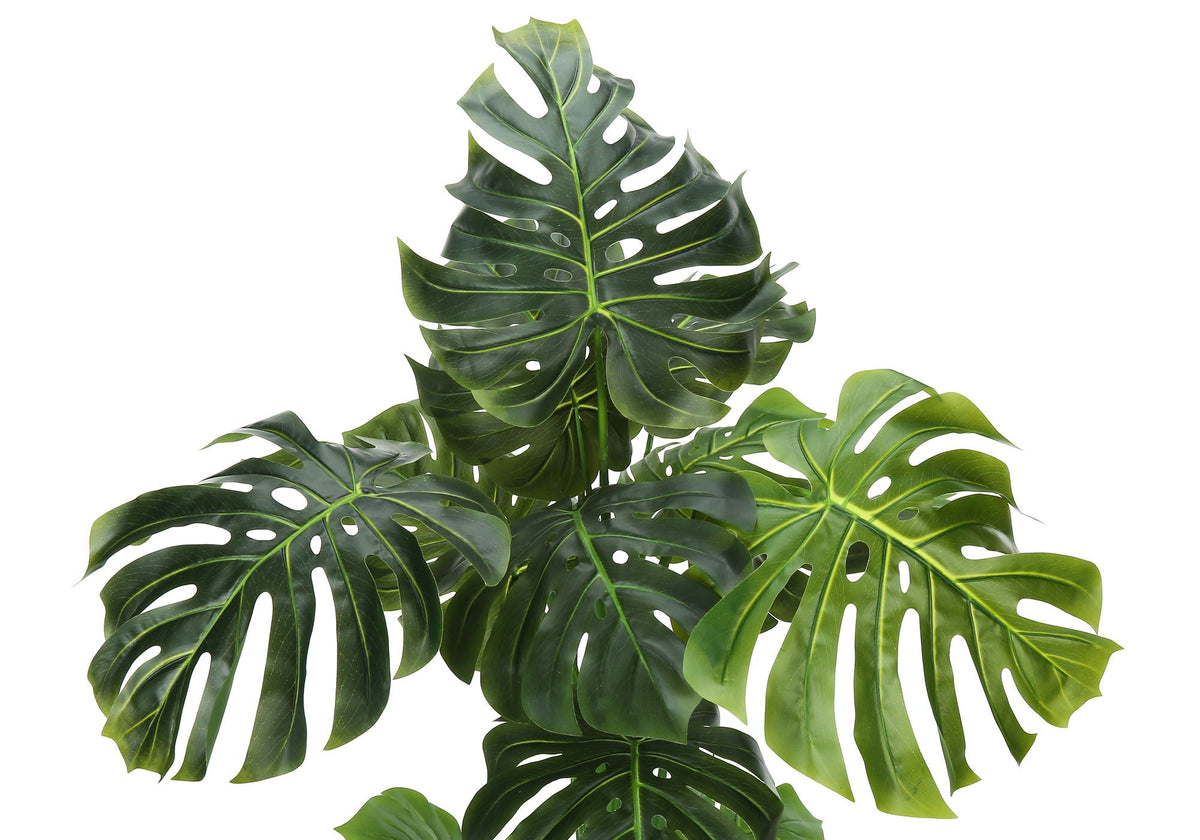 55in Monstera Tree
