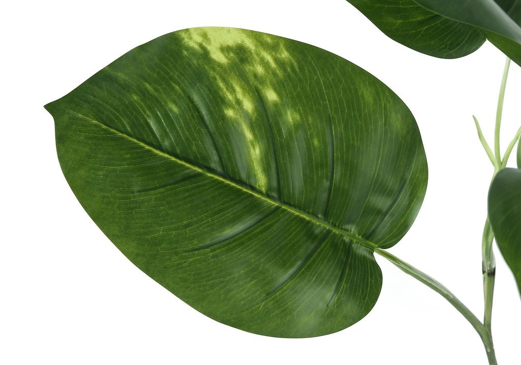 54in Dieffenbachia Tree