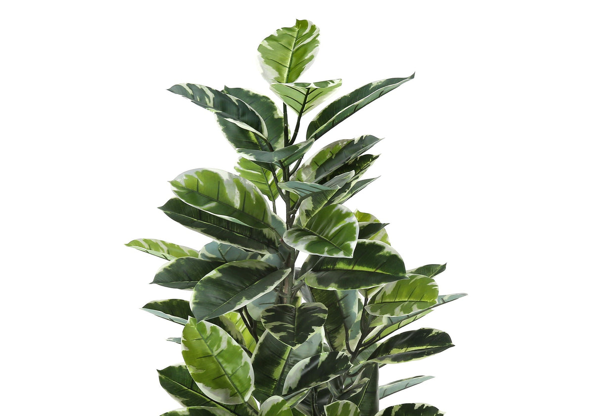 52in Rubber Tree, Classic Leaf