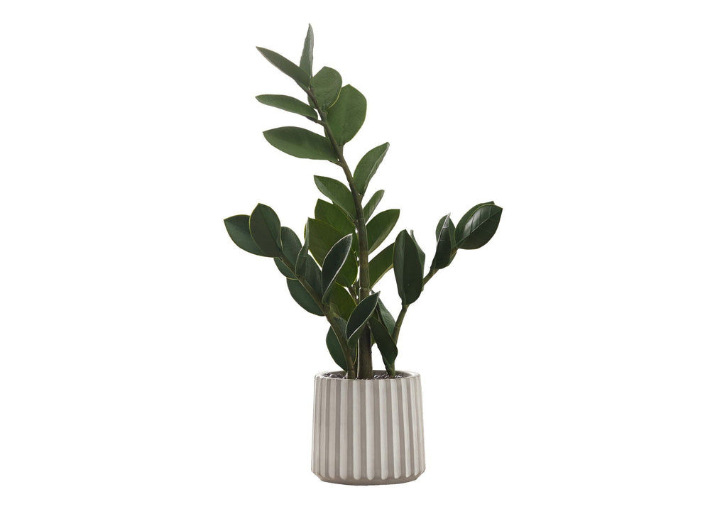 Potted ZZ Plant, 20in
