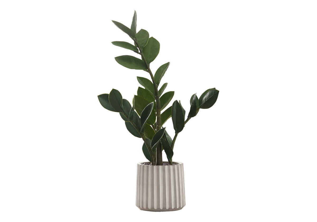 Potted ZZ Plant, 20in