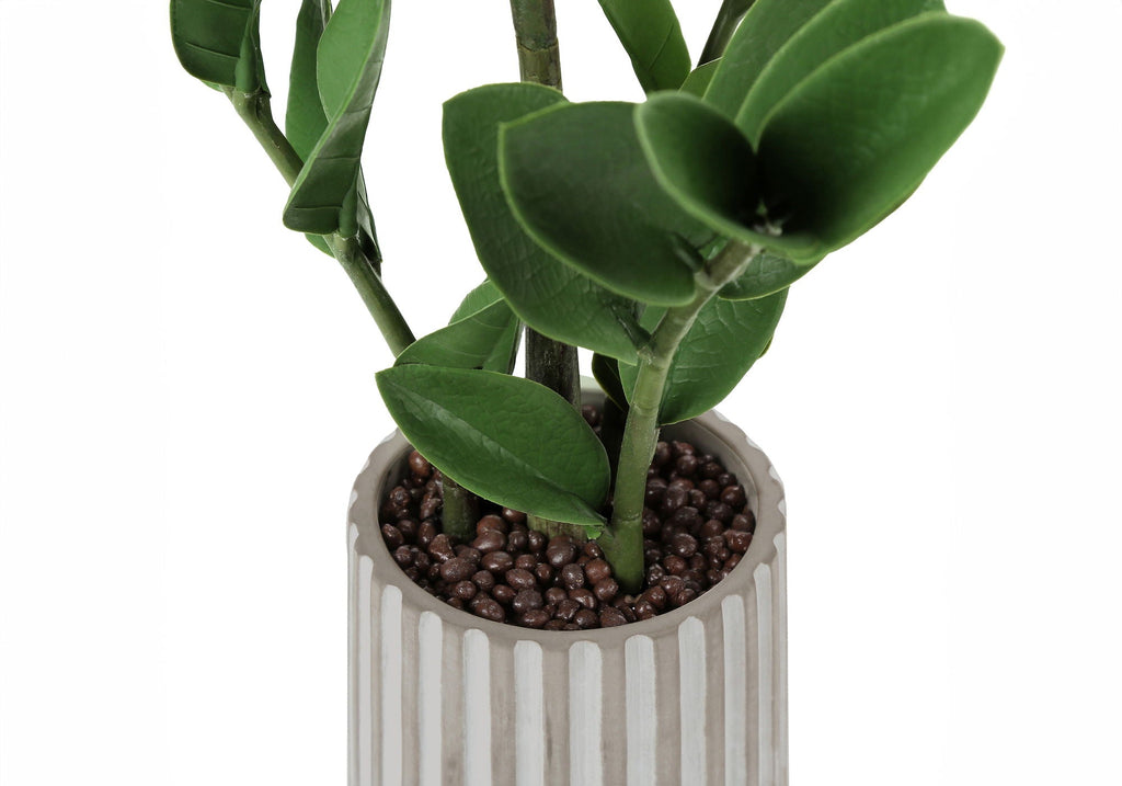 Potted ZZ Plant, 20in