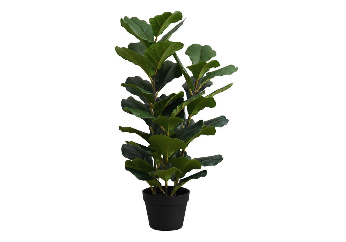 32in Fiddle Leaf Fig